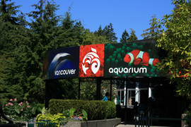 [Vancouver Aquarium]