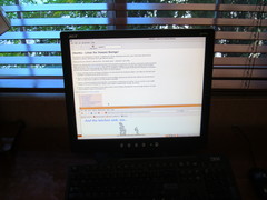 [An Ubuntu Terminal!]