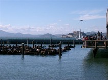 [Towards Alcatraz]