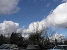 [Clouds While Going to Lunch]