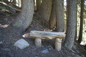 [Rest Area with Bench]