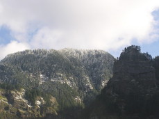 [Snow-Capped Trees Along the South Side of the Gorge]