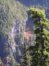 [Canyon on Mt. Jefferson that has Red-Leaved Trees]