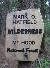 [Forest Marker on the Descent (Defiance Trail)]