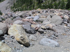 [Boulders on the Bed of Newton Creek]