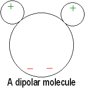 A Dipolar Molecule