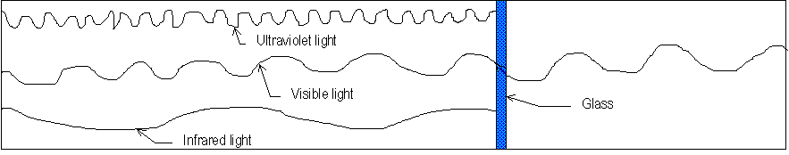 Polarization