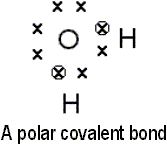 A Polar Covalent Bond