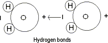 Hydrogen Bonds