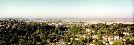 [San Carlos Panorama]