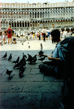 [Woodley's Pidgeons in Piazza San Marco]