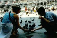 [Pelly and Woodley's Pidgeons in Piazza San Marco]