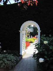 [Junipers Trimmed Flush with the Archway]