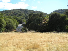 [The Hills of Woodley's Ranch]