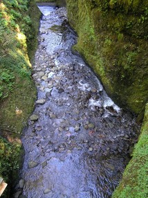 [Detail of Oneonta Gorge]