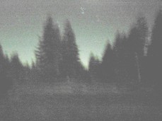 [Meadow at Night]