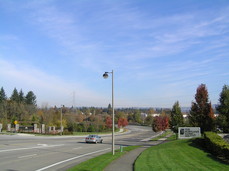 [View to the Northeast, SW Millikan Way]