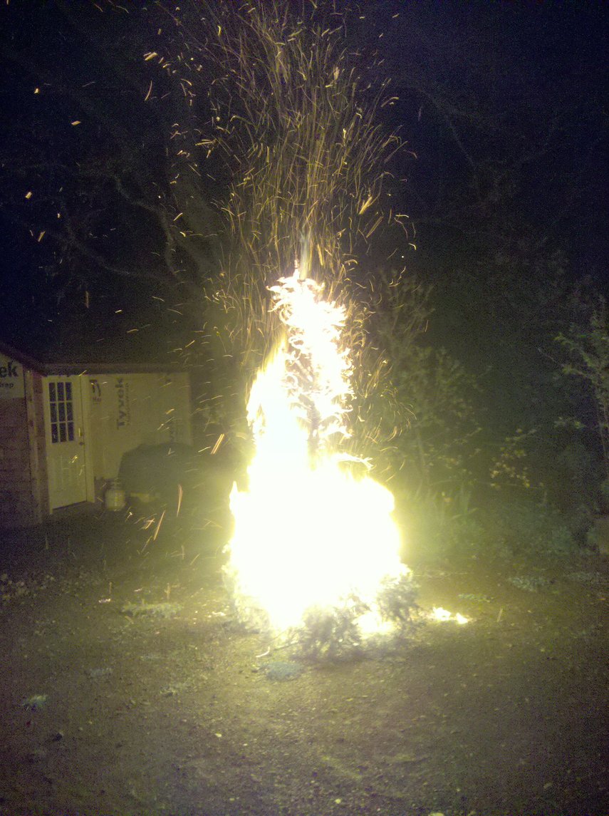 [Torching a Dried Out Christmas Tree]