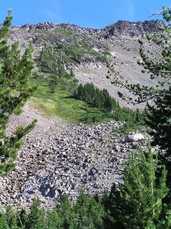 [Rocks and Trees, Looking Southward Towards the Summit]