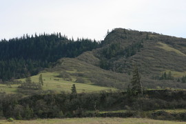 [Tom McCall Point from Trailhead]