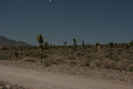 [Blurry Desert Photos]