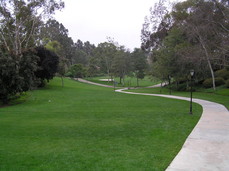 [La Jolla Colony Park: Passive Use Only (Looking Westward from the East Entrance)]